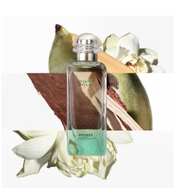 Un Jardin sur le Nil - Body & Hair Dry Oil
